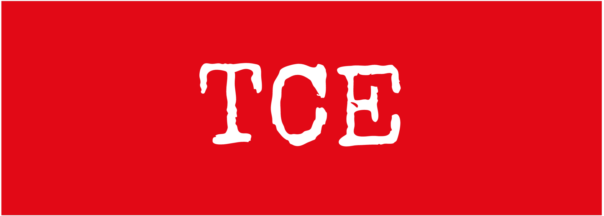 TCE, Turkish Cypriots Exist